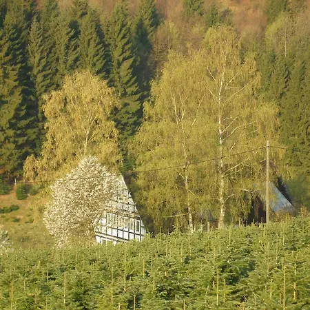 Haus Hohenflug *