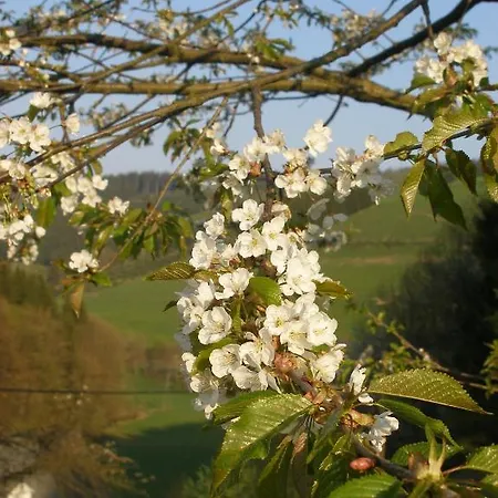 Appartamento Haus Hohenflug